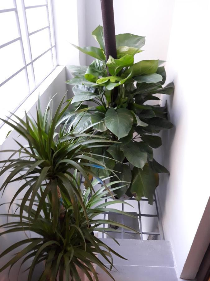 Blue Home Serviced Apartment Hanoi Eksteriør bilde